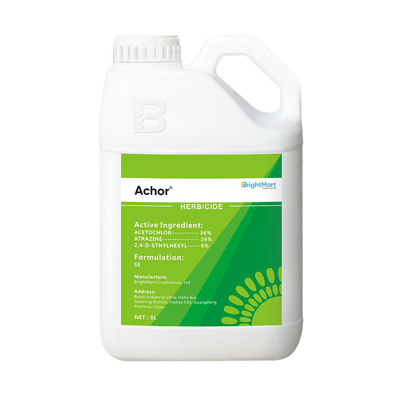 [ Achor ] ACETOCHLOR + ATRAZINE + 2,4-D-ETHYLHEXYL