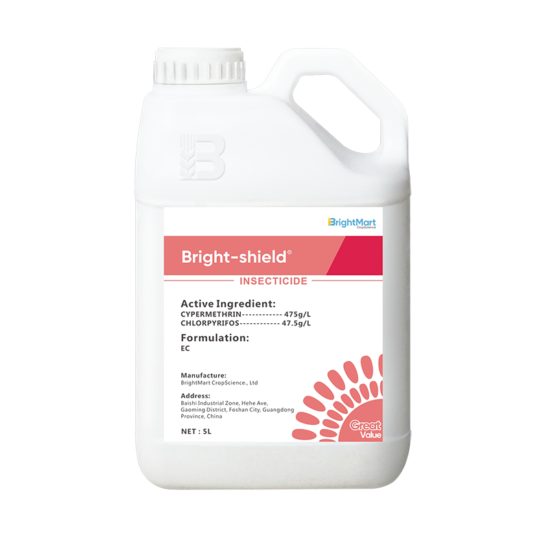 BrightMart Array image101