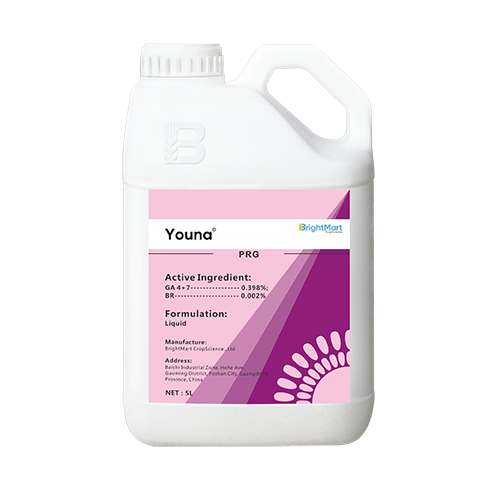 [ Youna ] GIBBERELLIC ACID + HOMOBRASSINOLIDE